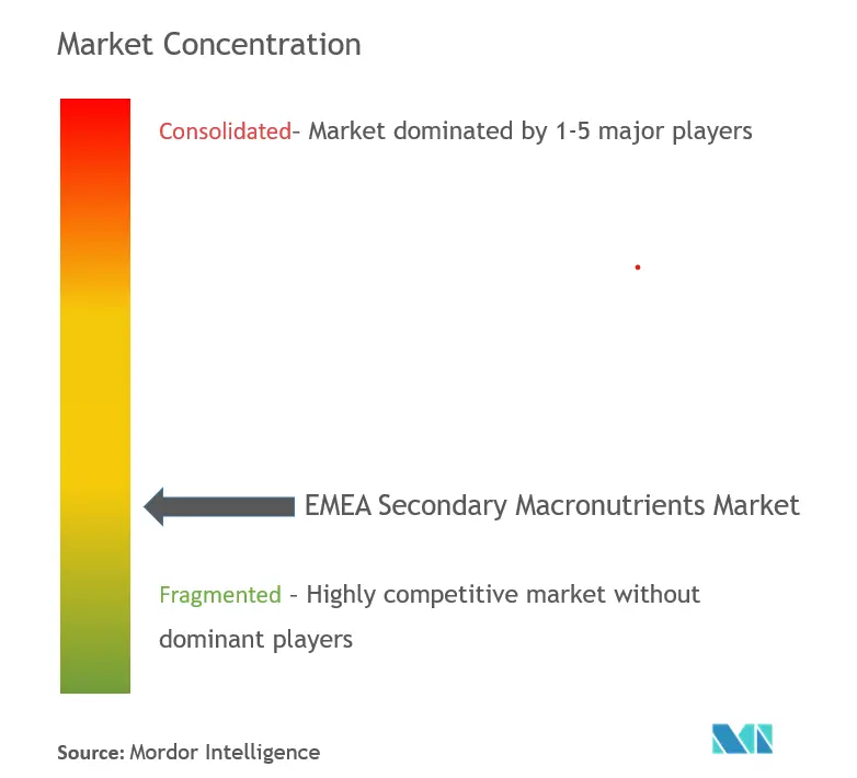 EMEA Secondary Macronutrients Market Concentration