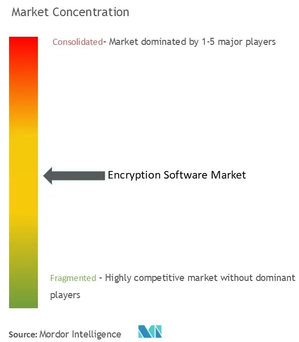 Encryption Software Market Concentration