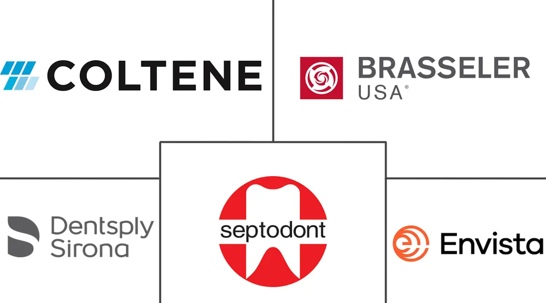 Major players in Endodontic Consumables industry