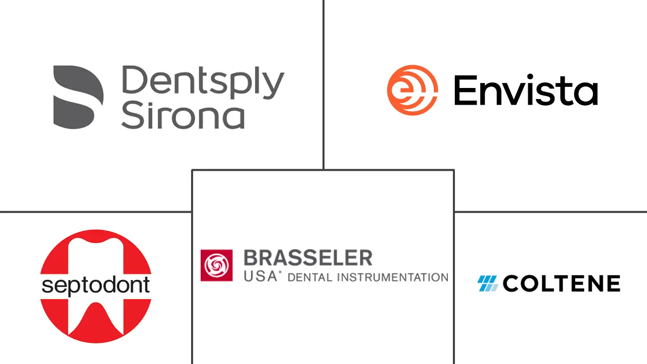 Principales actores en Mercado de Endodoncia industria