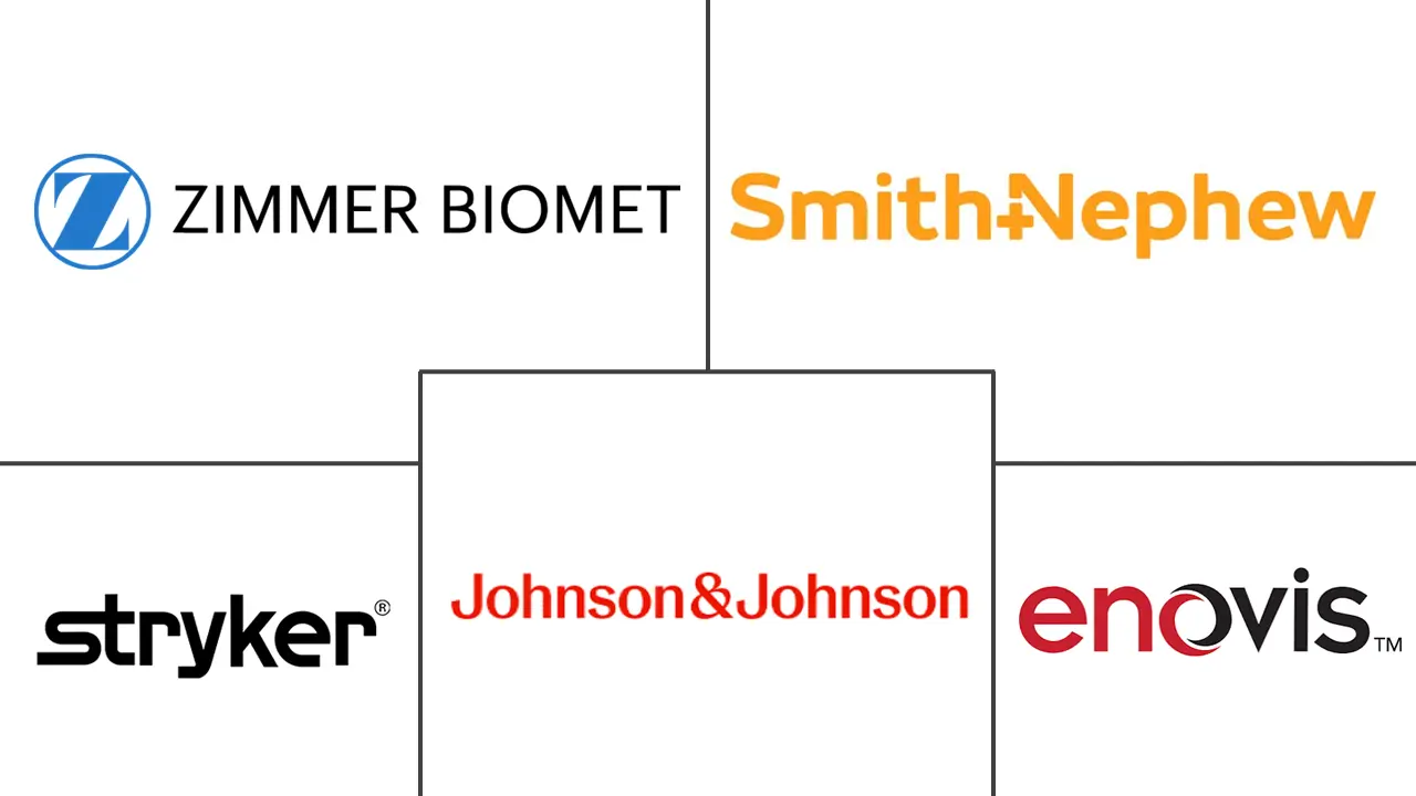 Major players in Endoprosthesis industry