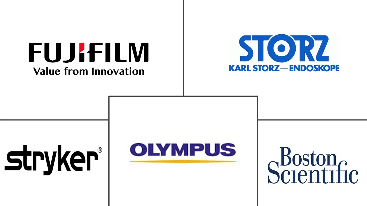 Major players in Endoscopy Visualization Systems industry