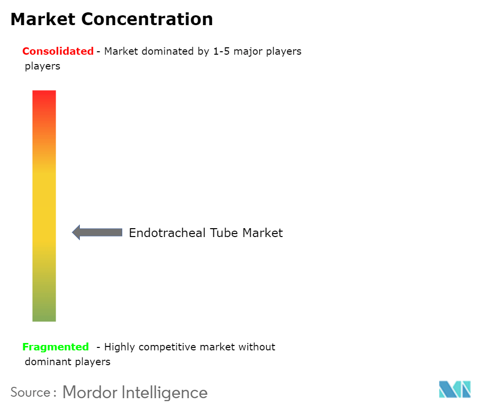 Endotracheal Tube Market Concentration