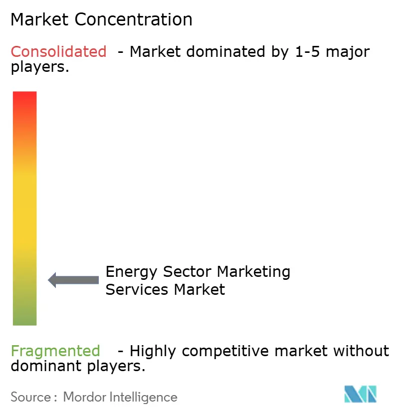 Energy Sector Marketing Services Market Concentration