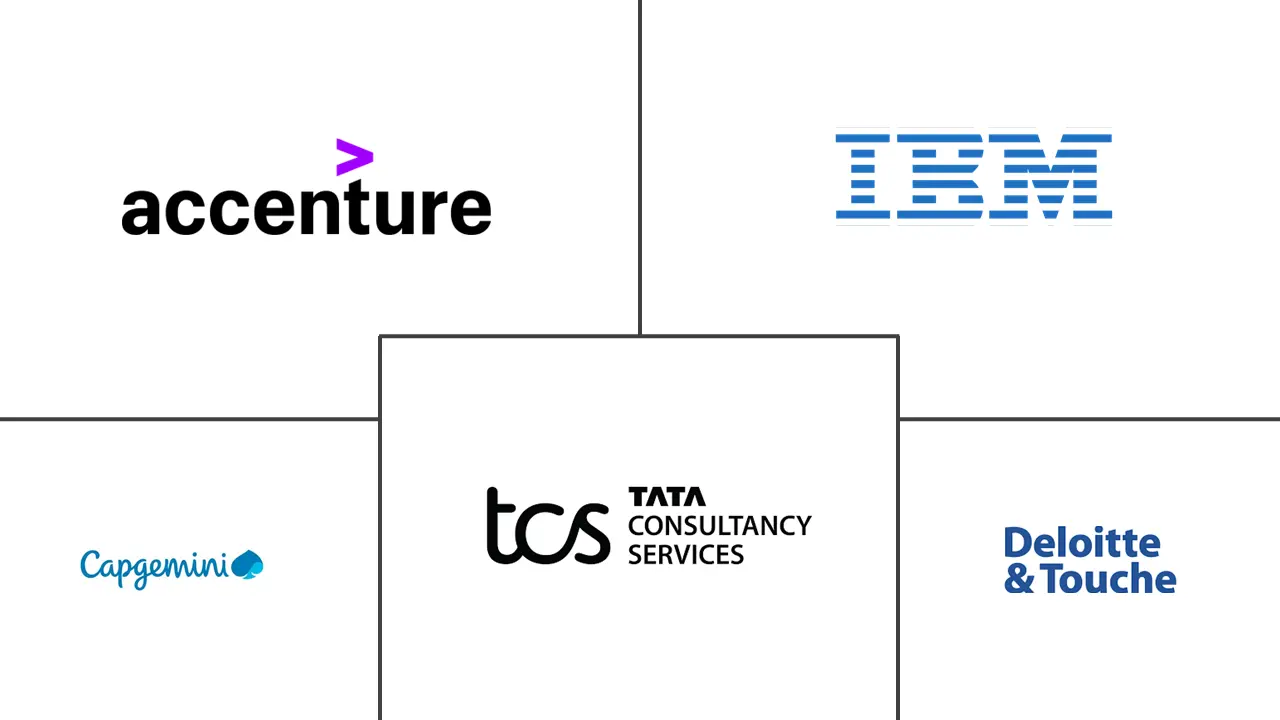 Major players in Enterprise Resource Planning Customization industry
