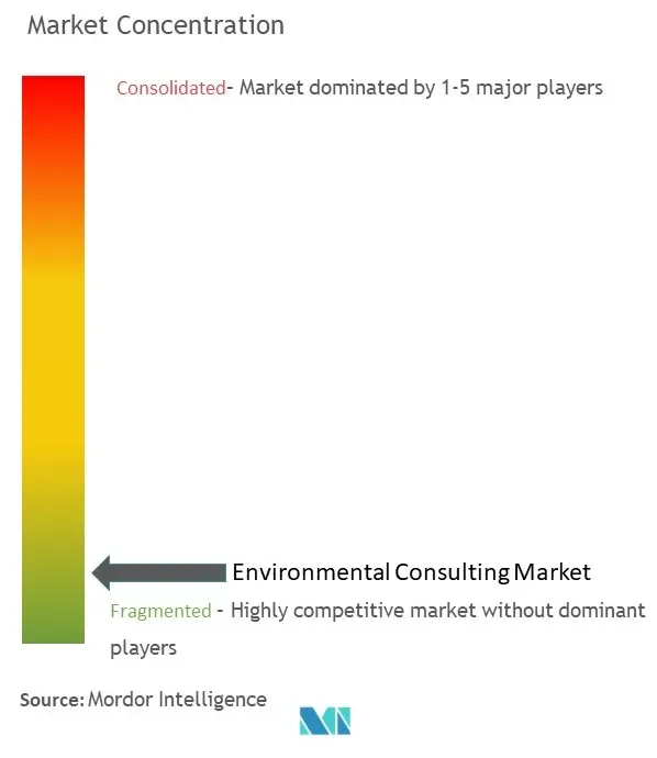 環境コンサルティング市場集中度