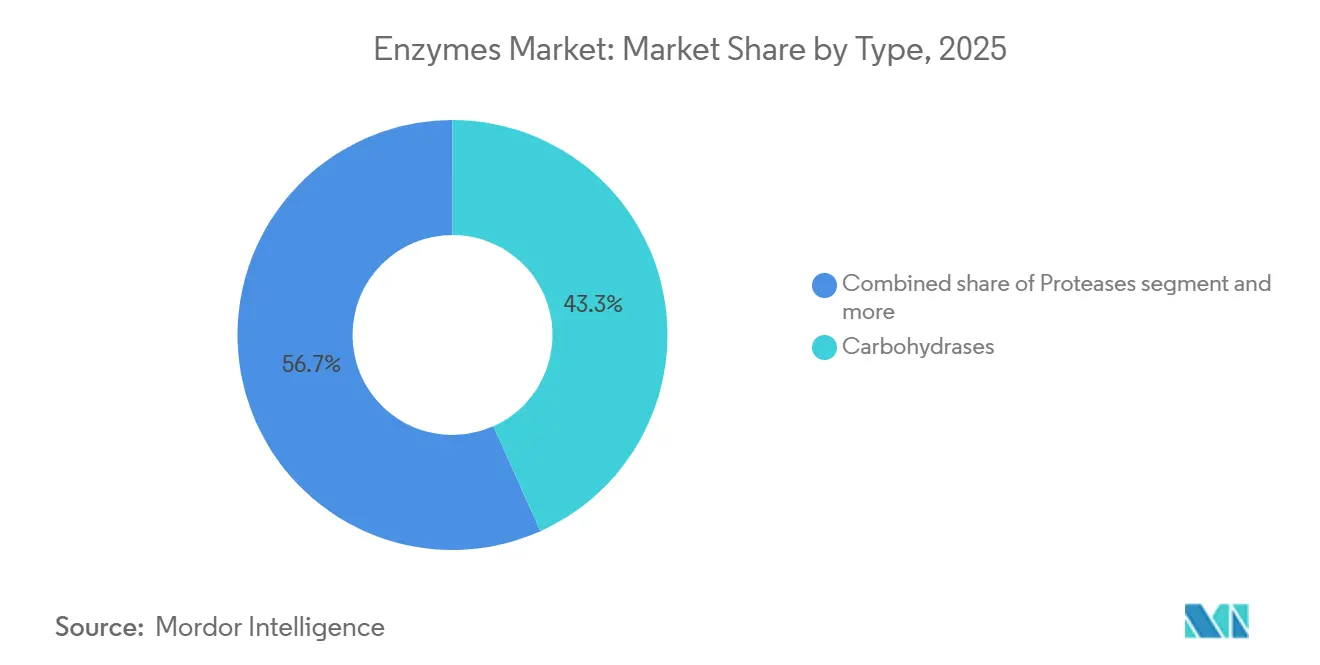 Enzymes Market: Market Share by Type