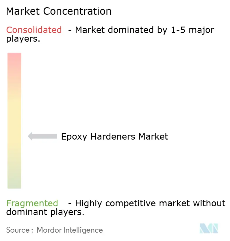 Epoxy Hardeners Market Concentration