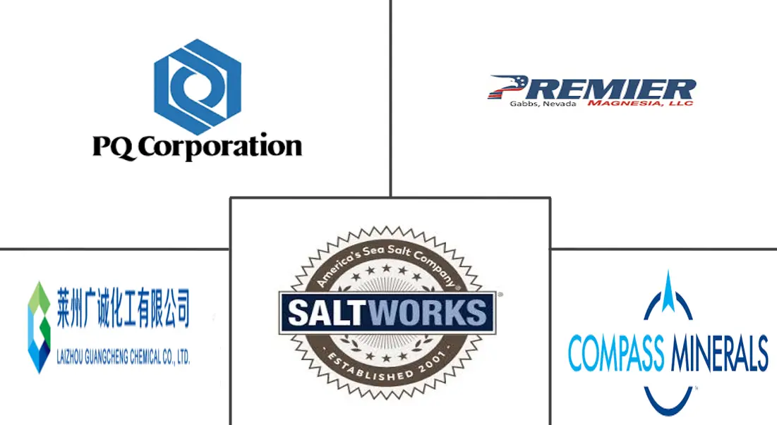 Major players in Epsom Salt industry