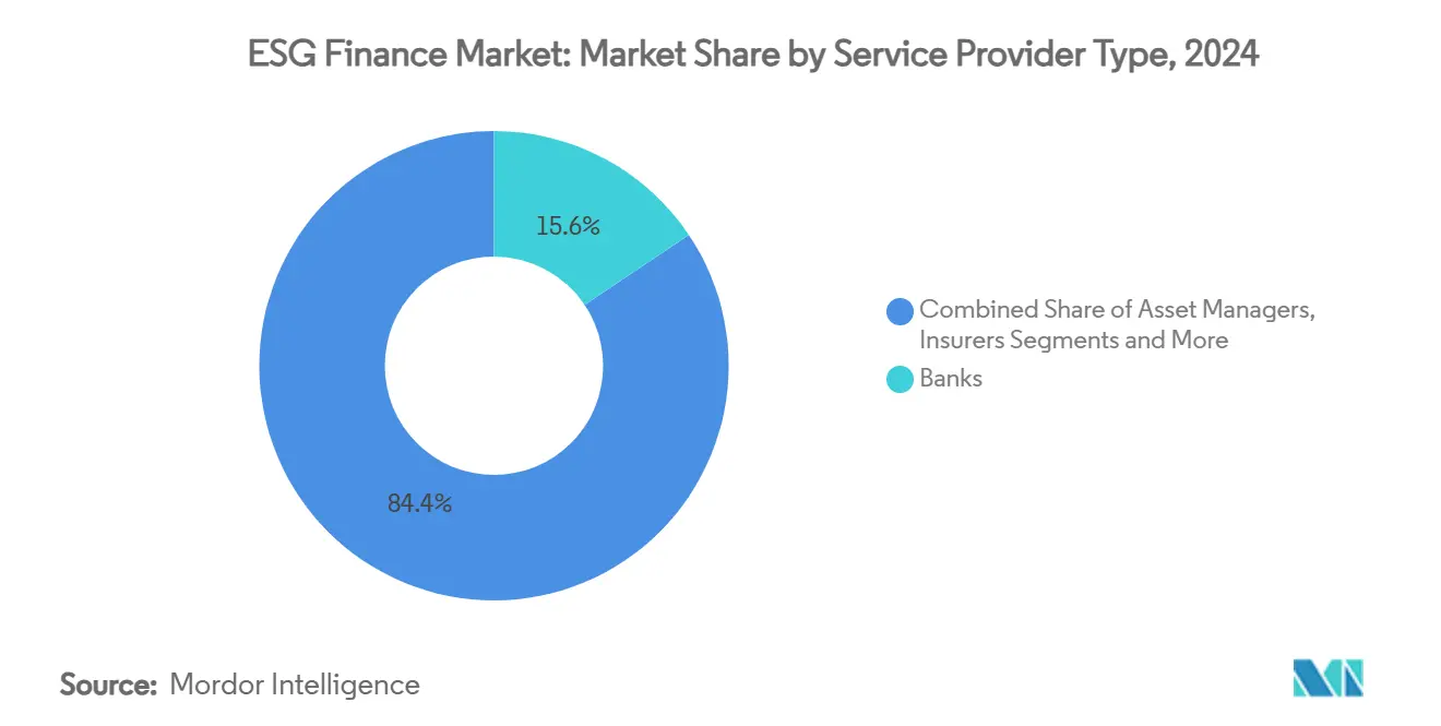 ESG Finance Market: Market Share by Service Provider Type