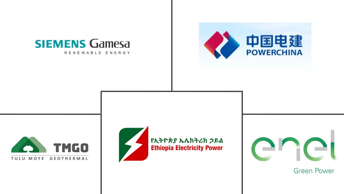 Major players in Ethiopia Renewable Energy industry
