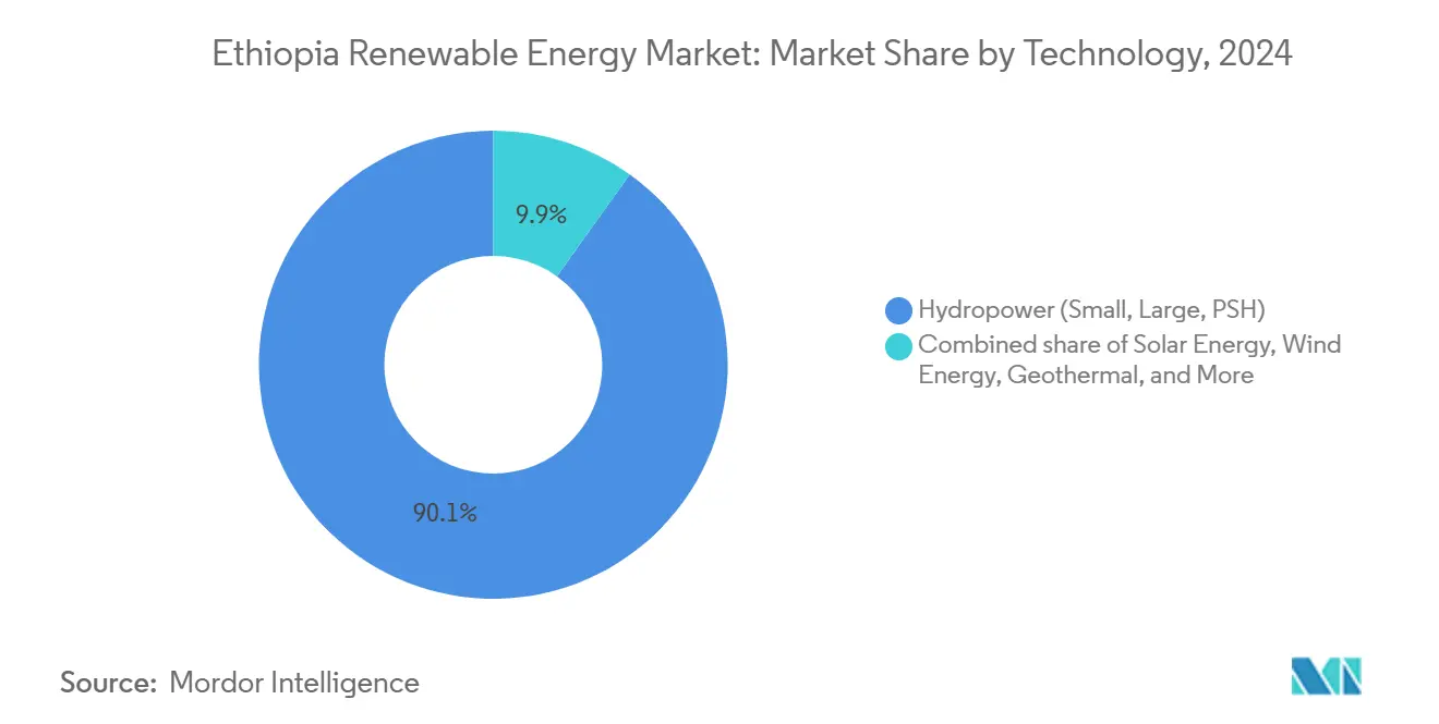 Ethiopia Renewable Energy Market: Market Share by Technology