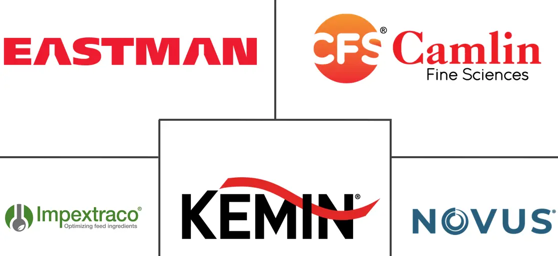 Related Companies Logo