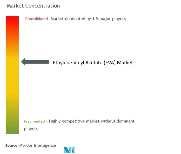 Ethylene Vinyl Acetate Market - Market Concentration.png