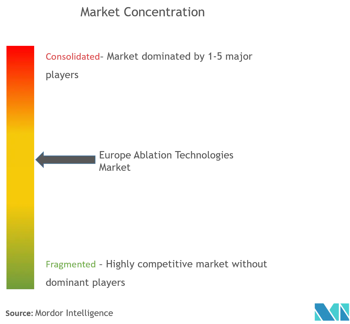 Europe Ablation Technologies Market Concentration