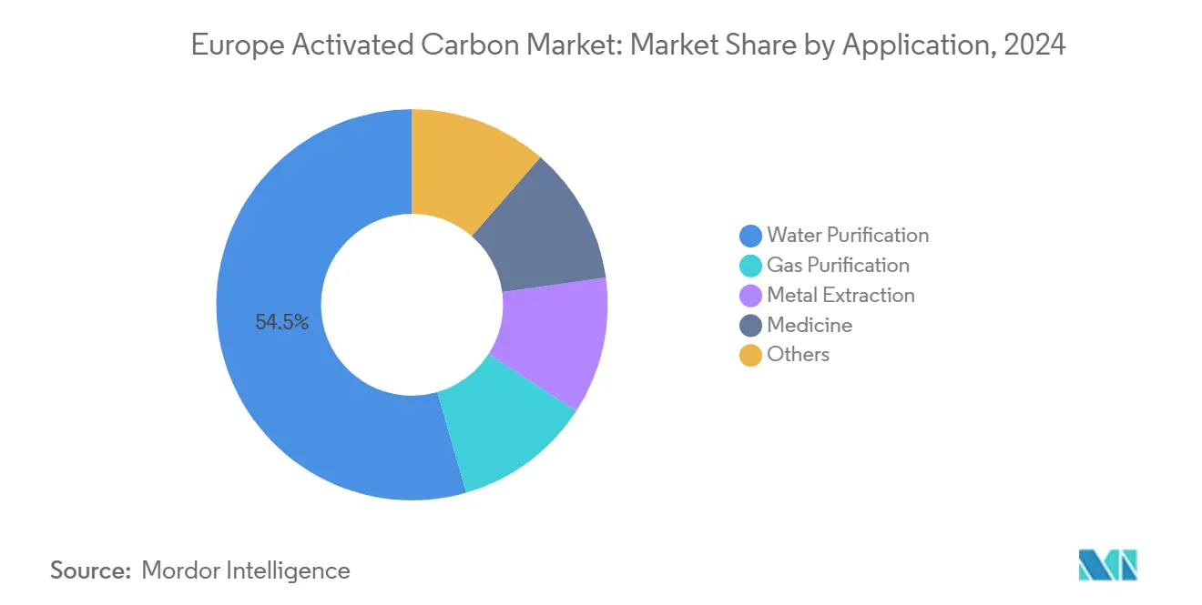 Europe Activated Carbon Market: Market Share by Application