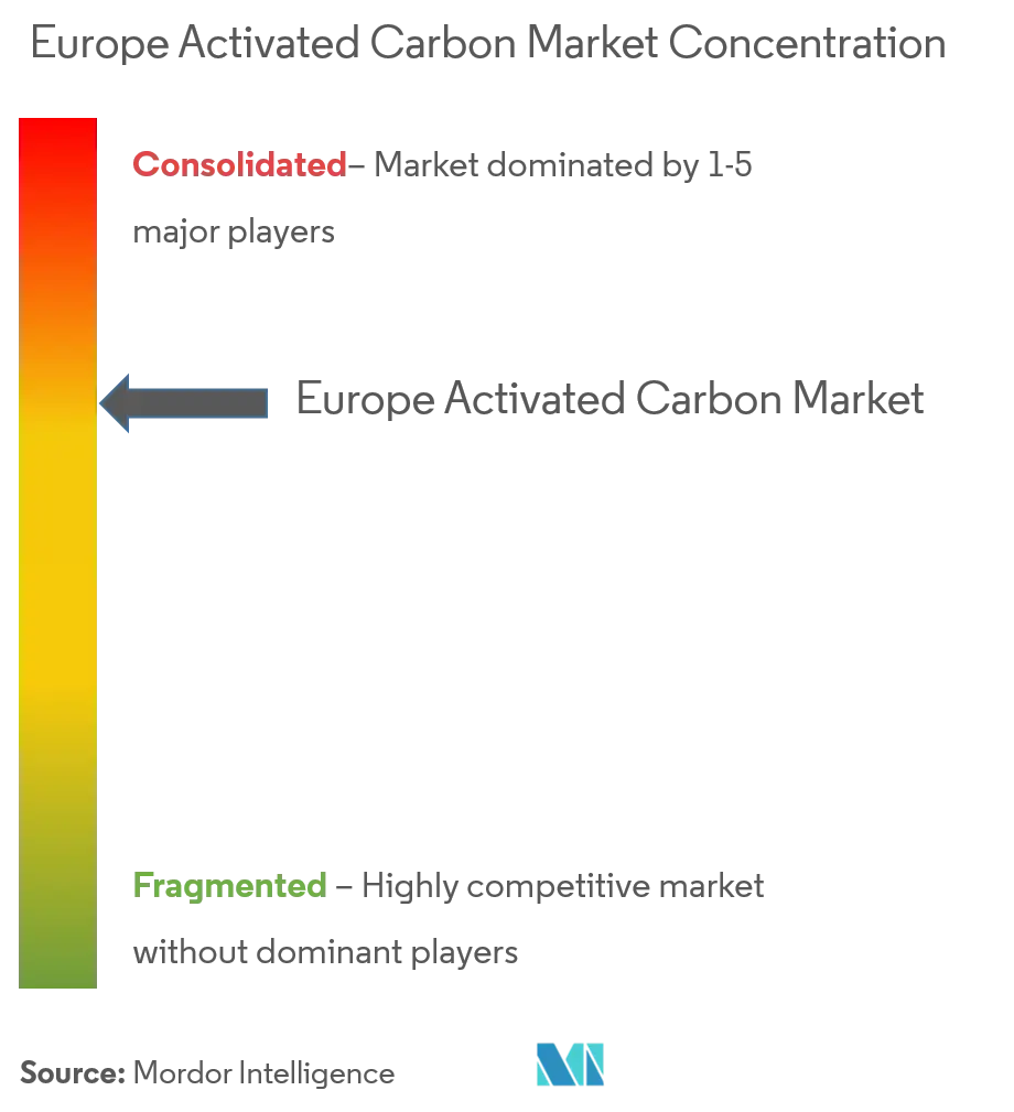 Europe Activated Carbon Market - Market Concentration.png