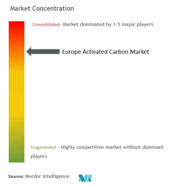 Europe Activated Carbon Market Concentration