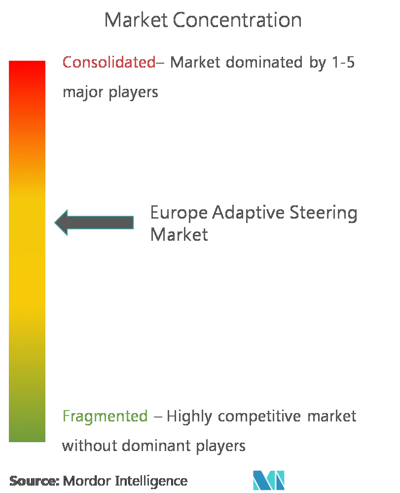 Europe Adaptive Steering Market - Concentration.png
