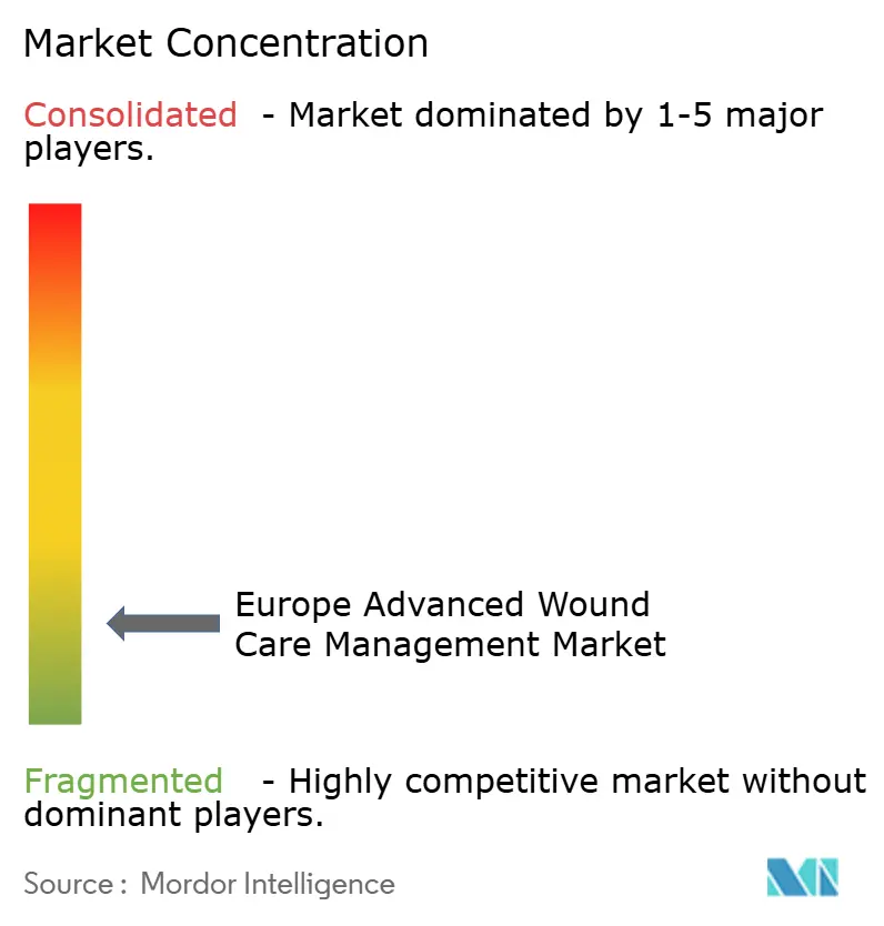 Europe Advanced Wound Care Market Concentration