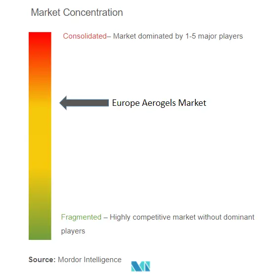 ヨーロッパ エアロゲル市場集中度