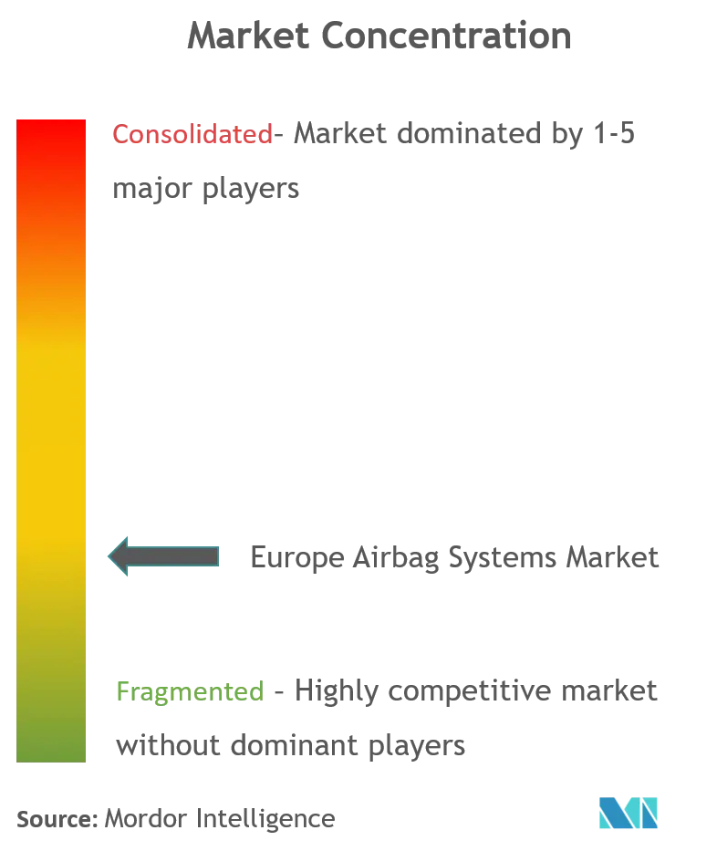 Europe Airbag Systems Market_Market Concentration.png