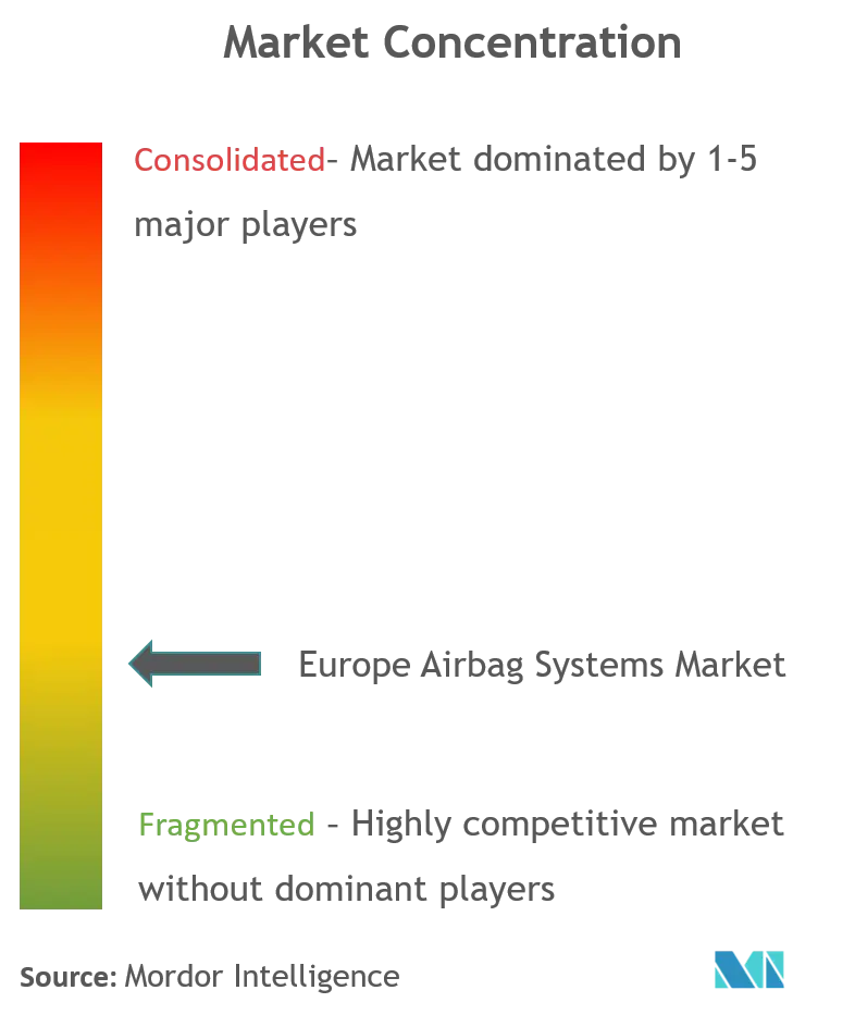 Mercado europeo de sistemas de airbag_Concentración del mercado.png