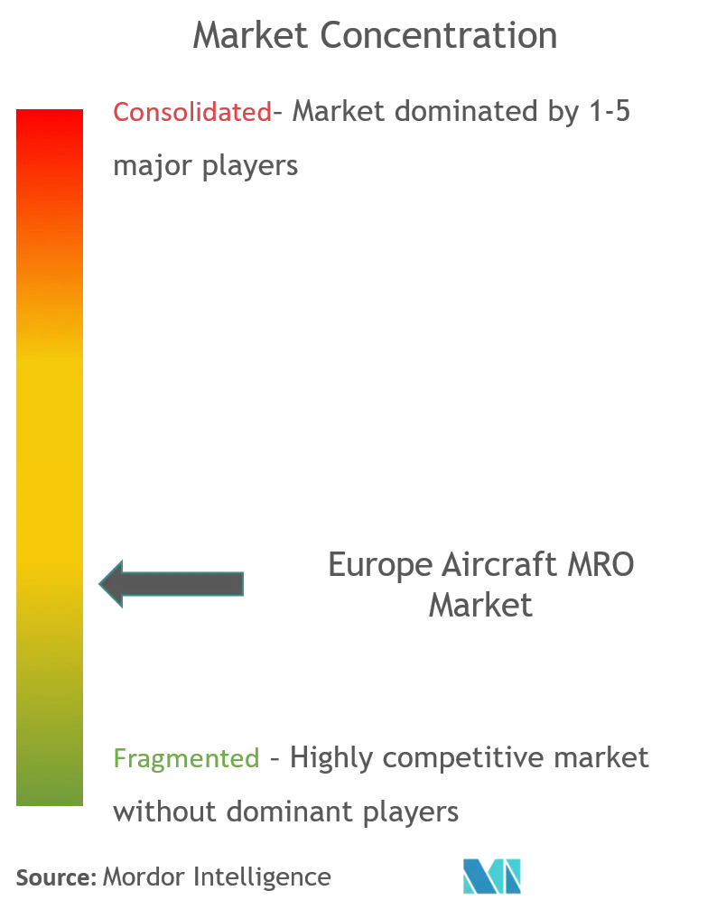 ヨーロッパ航空機MRO市場集中度