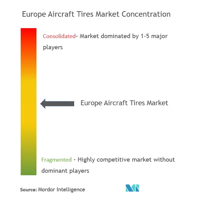 Pneus d'avions européensConcentration du marché