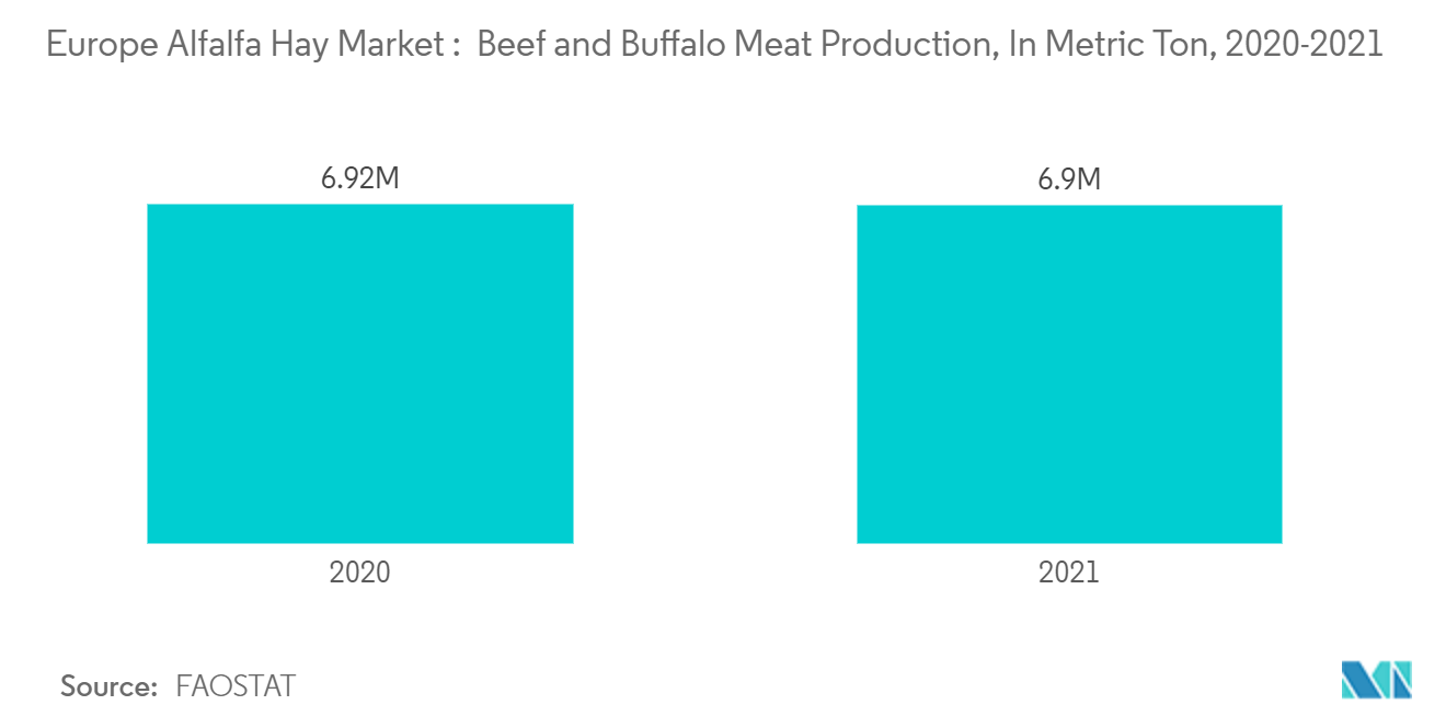 ヨーロッパのアルファルファヘイ市場 - 牛肉およびバッファロー肉生産量（単位：メートルトン、2020-2021年