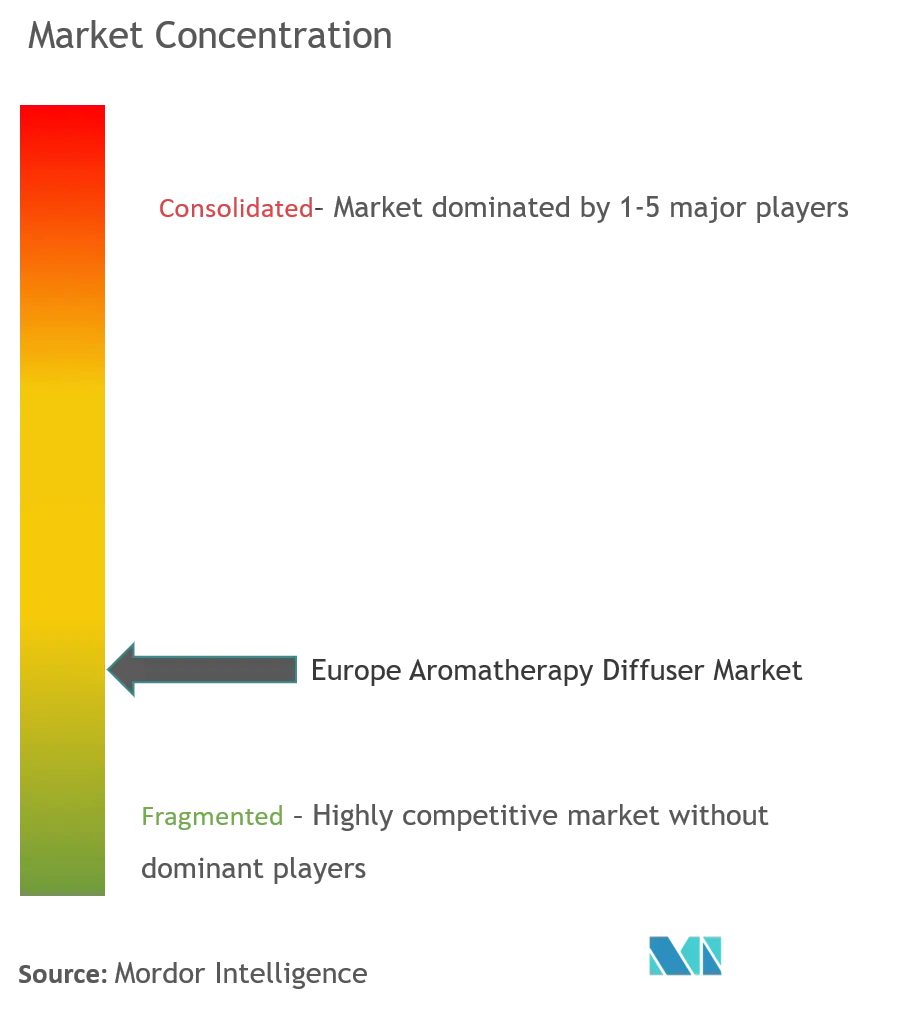 Europa Aromatherapie-DiffusorMarktkonzentration