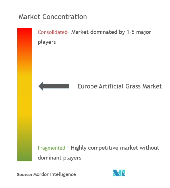 ヨーロッパの人工芝市場集中度