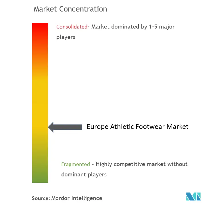 Europe Athletic Footwear Market Concentration