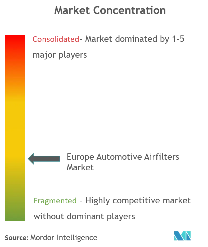 Europa Automotive-LuftfilterMarktkonzentration