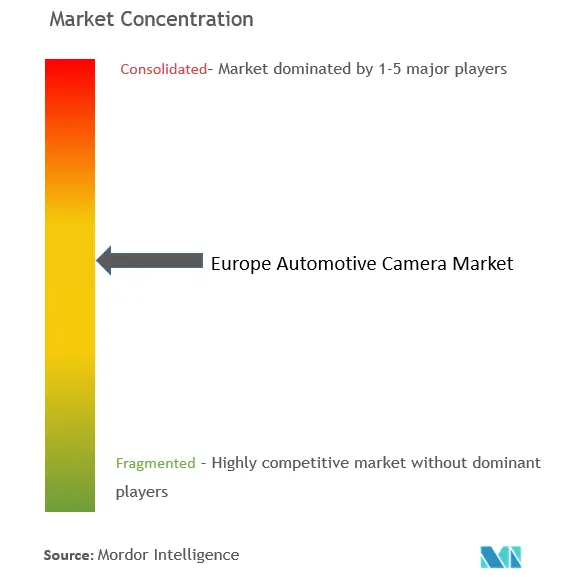 ヨーロッパの車載カメラ市場集中度
