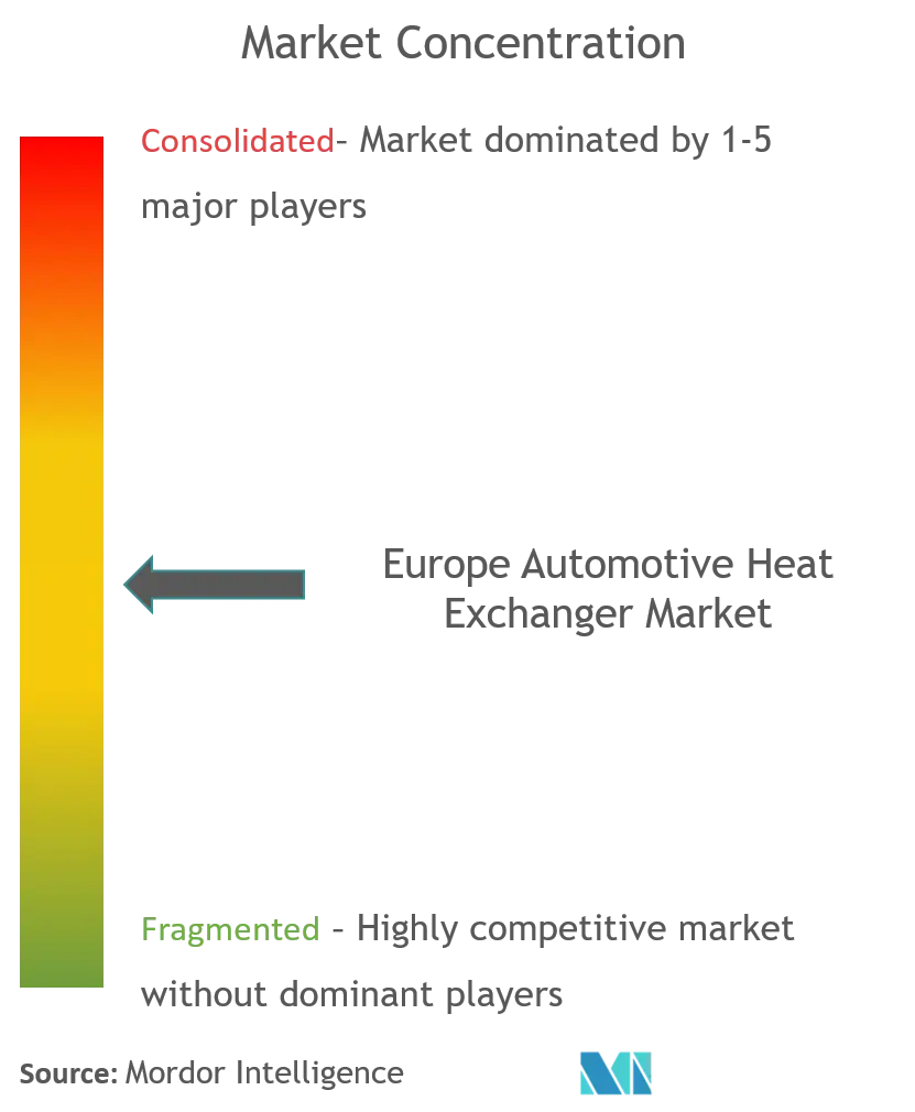 Europe Automotive Heat Exchanger Market Concentration.png