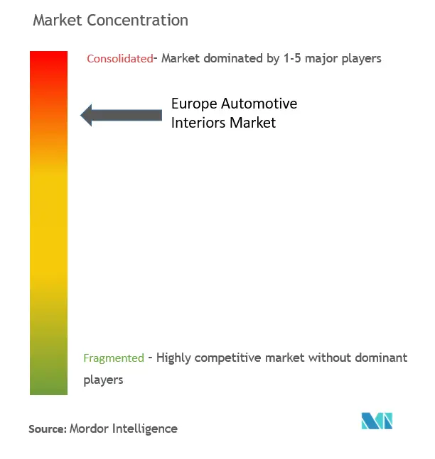 Europe Automotive Interiors Market Concentration