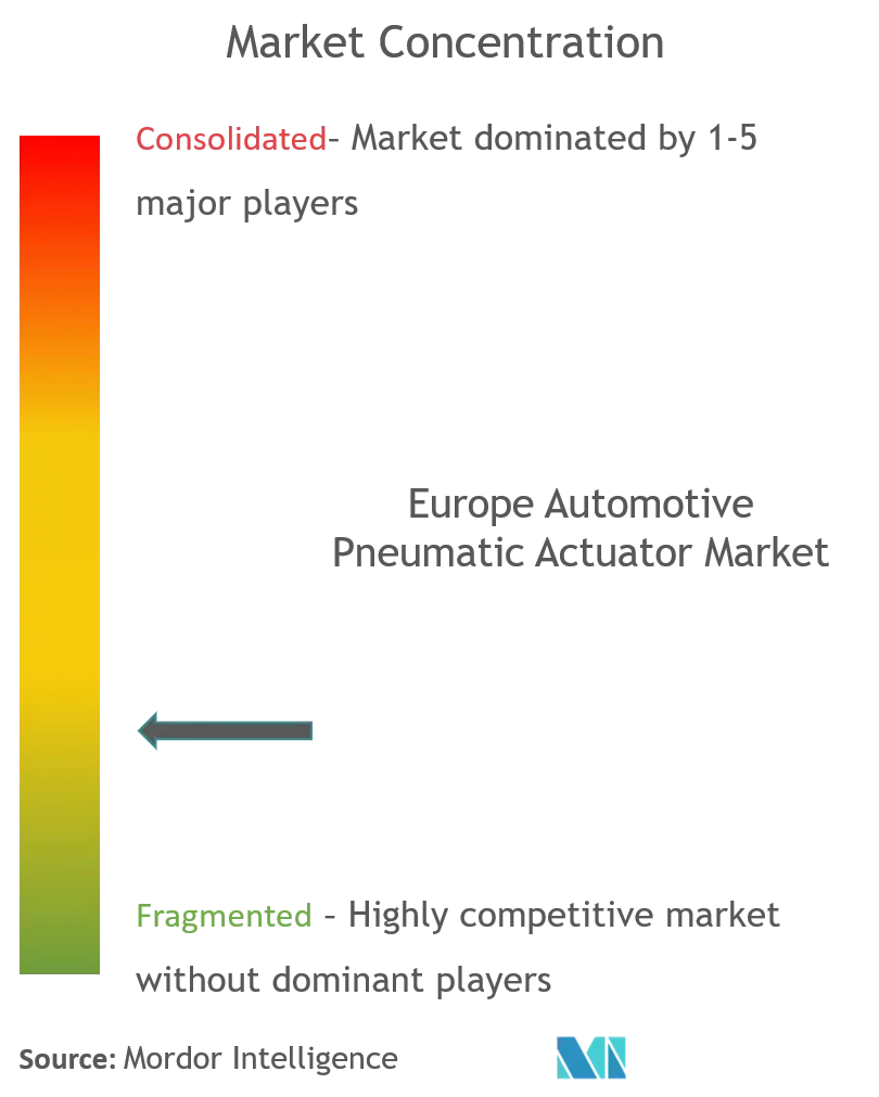 ヨーロッパの自動車用空気圧アクチュエータ市場集中度