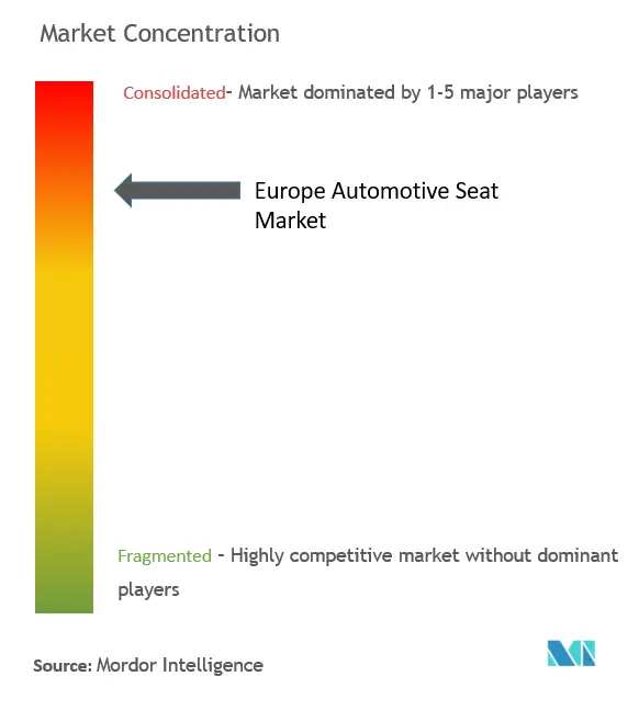 Europe Automotive Seat Market Concentration
