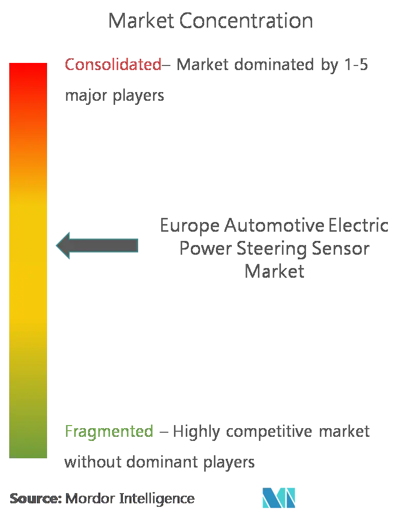 Sensor de dirección automotriz de EuropaConcentración del Mercado