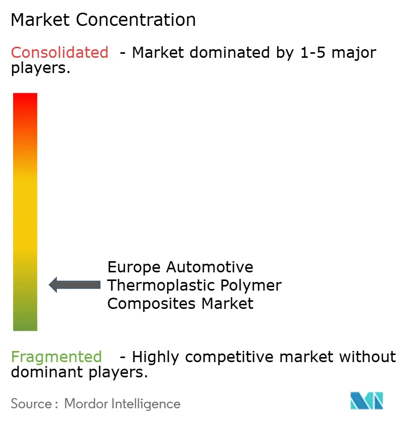 Concentración del Mercado de Compuestos de Polímeros Termoplásticos Automotrices de Europa