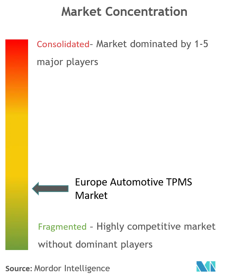 أوروبا السيارات TPMS Market_Market Concentration.png