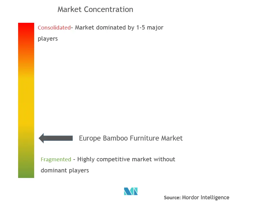 Europe Bamboo Furniture Market Concentration