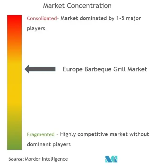 Europe Barbeque Grill Market Concentration