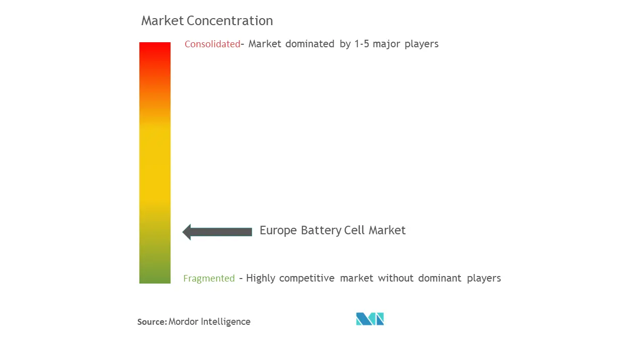 Europe Battery Cell Market Concentration