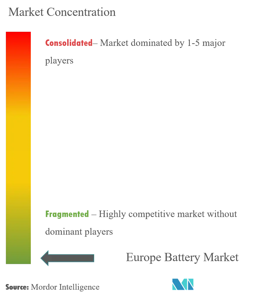 Konzentration der europäischen Batteriemarktbranche