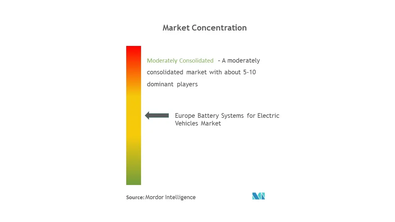 Europe Battery Systems for Electric Vehicle Market- Market Concentration.jpg