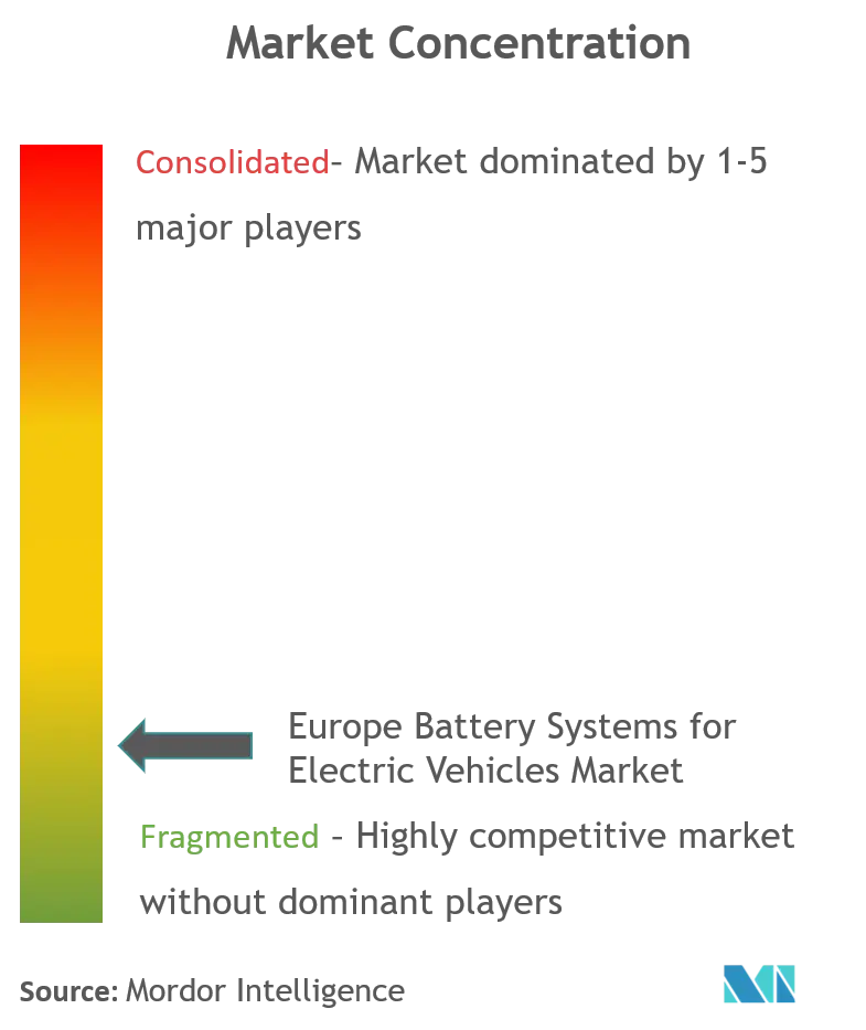 Europe Battery Systems for Electric Vehicles Market_Market Concentration.png