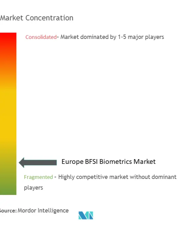 Europe BFSI Biometrics Market Concentration