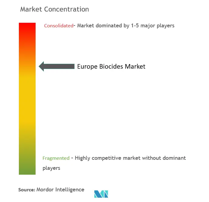 Europe Biocides Market Concentration